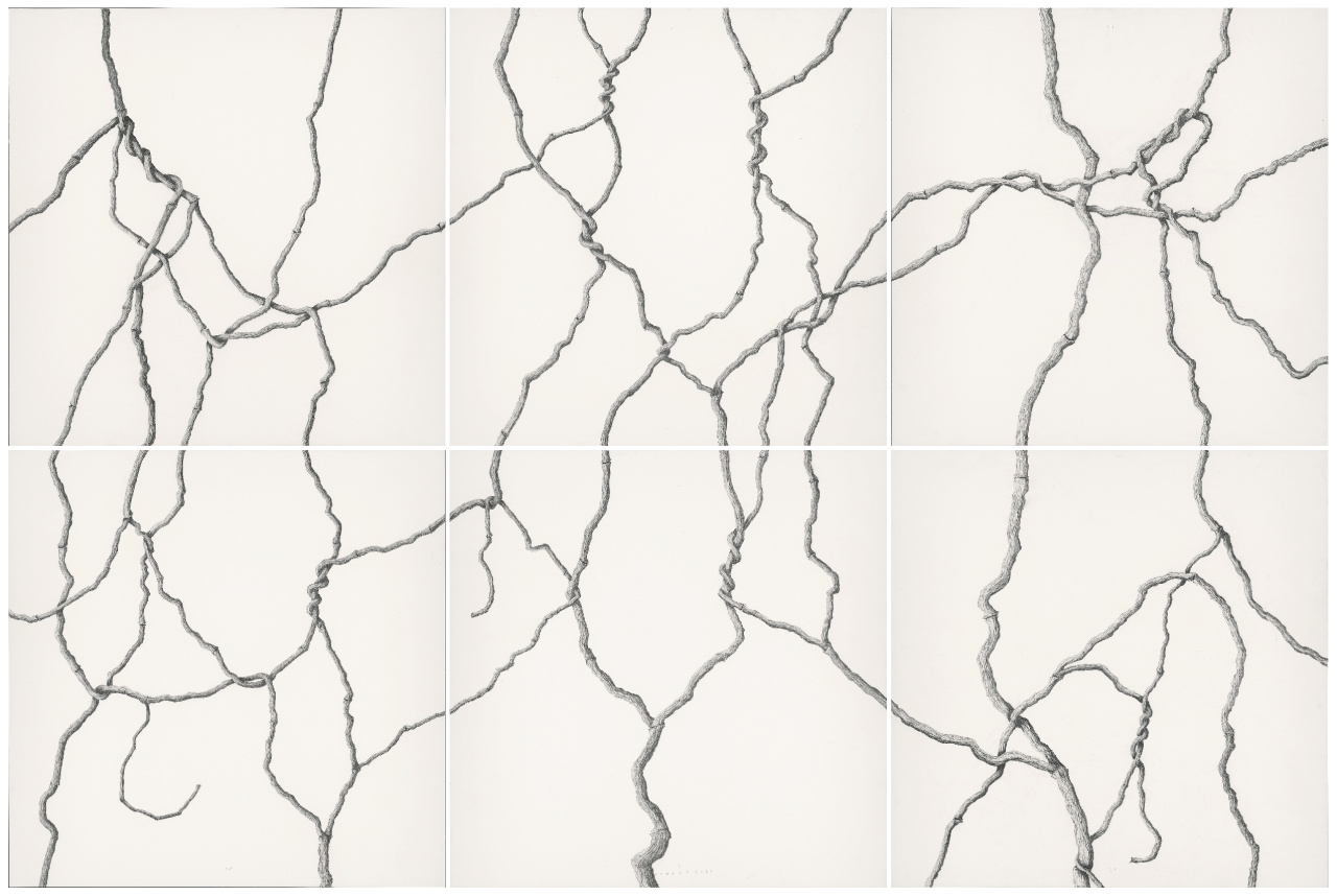 N-00256-Isamat-Marcos-240x160cm-Hiedra-completa.jpg