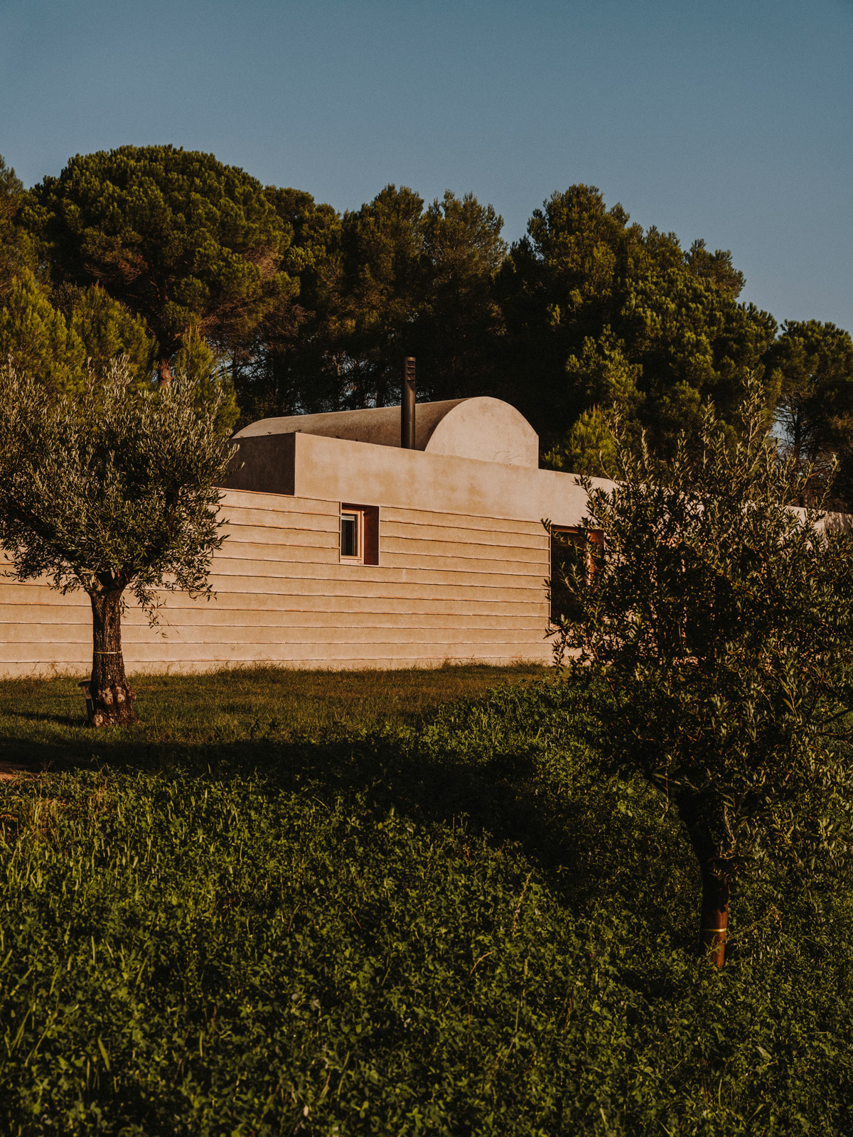 Casa-Ter_MESURA_Salva-Lopez_Ambiente_06