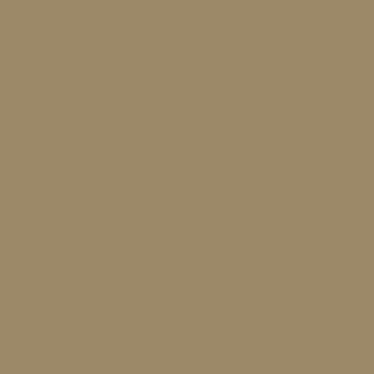 Gris-25