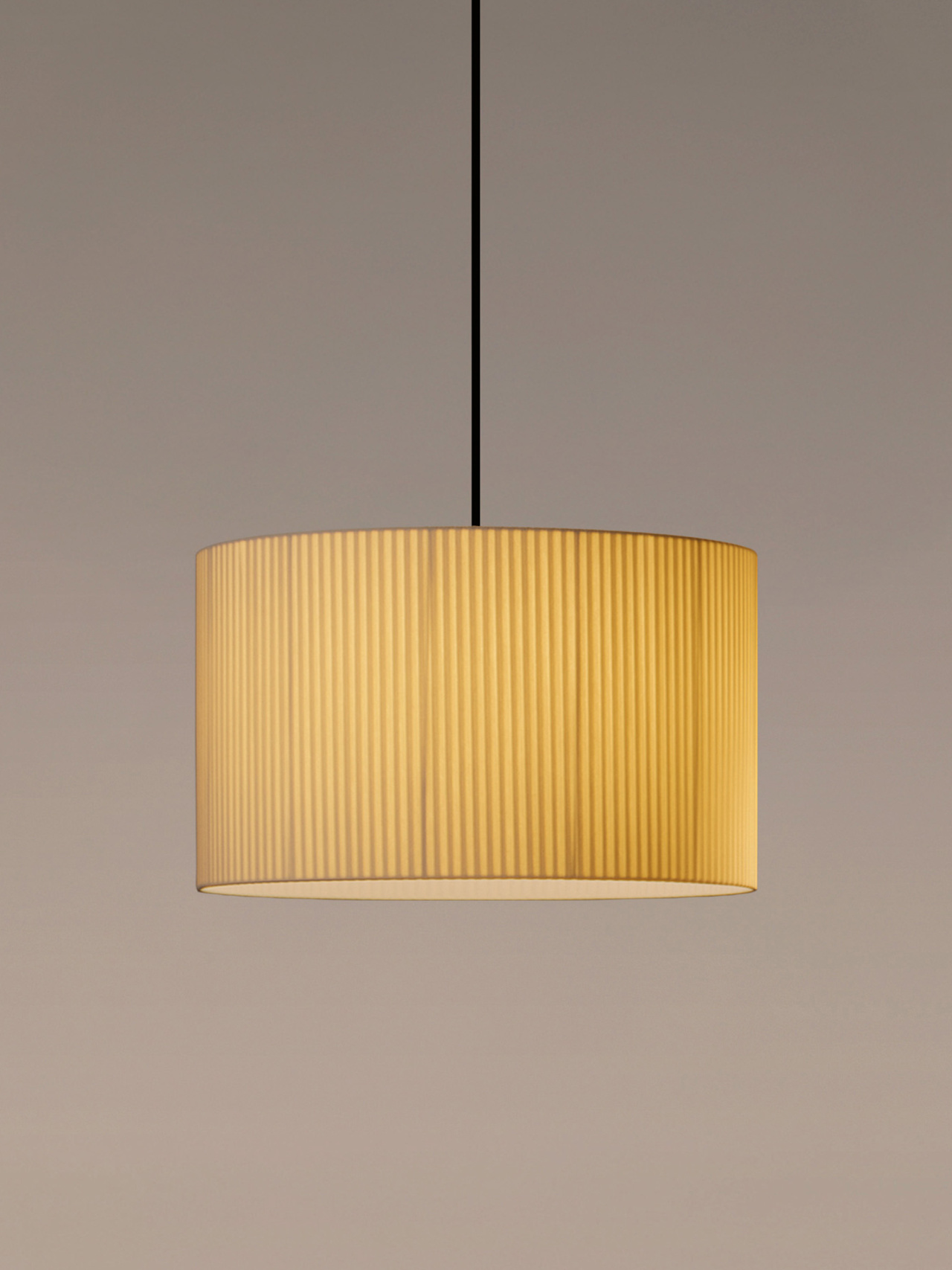 PGT23_Sisisi_cilindricas_GT2PA_2.jpg
