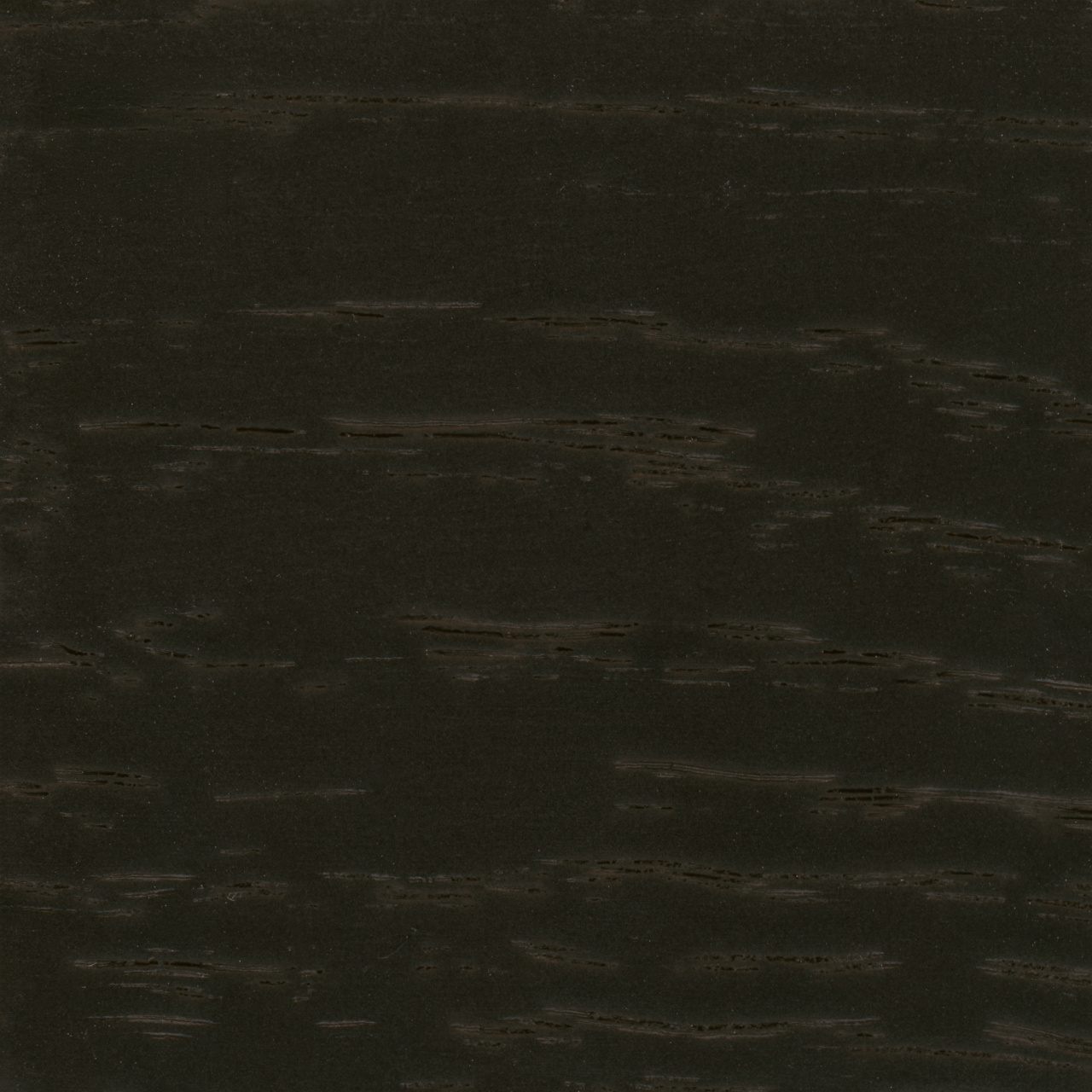 Roble negro-13