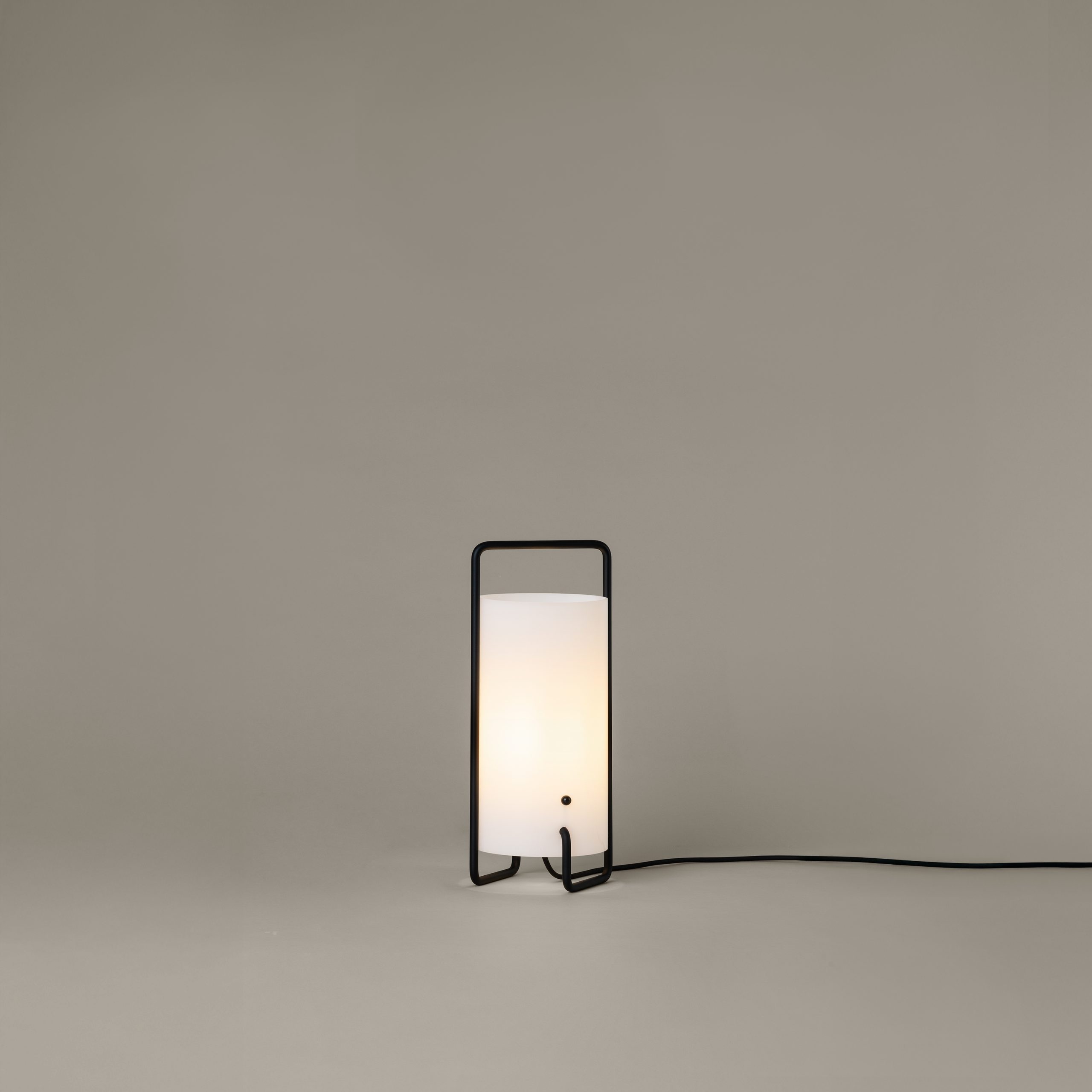 Asa-negra-on-ASATA01-R25-scaled