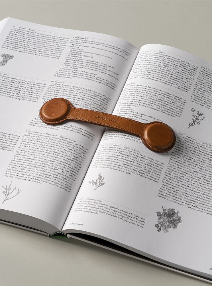 Escribano-SantaCole-EnricBadrinas-2022-parrilla