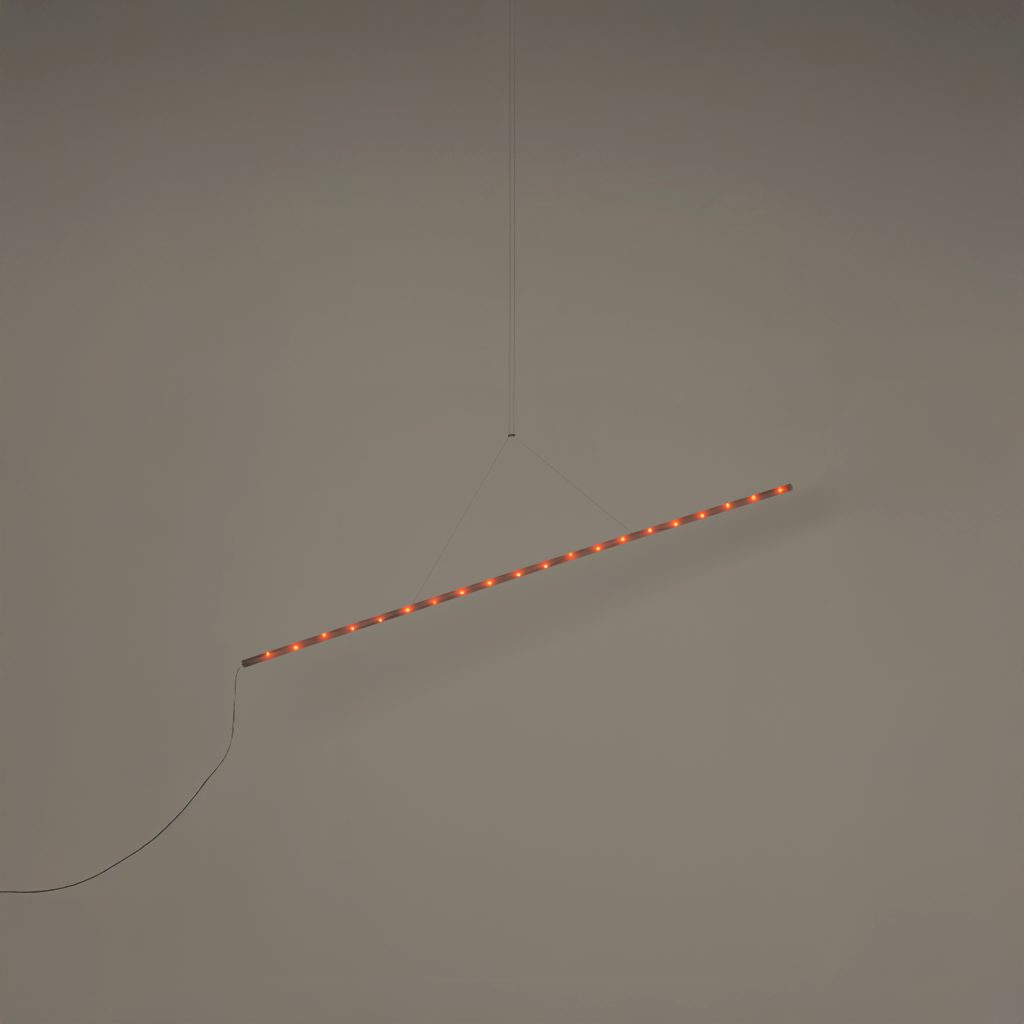 LaColilla-2m-Enric-Badrinas-2025-R25-3-1024x1024