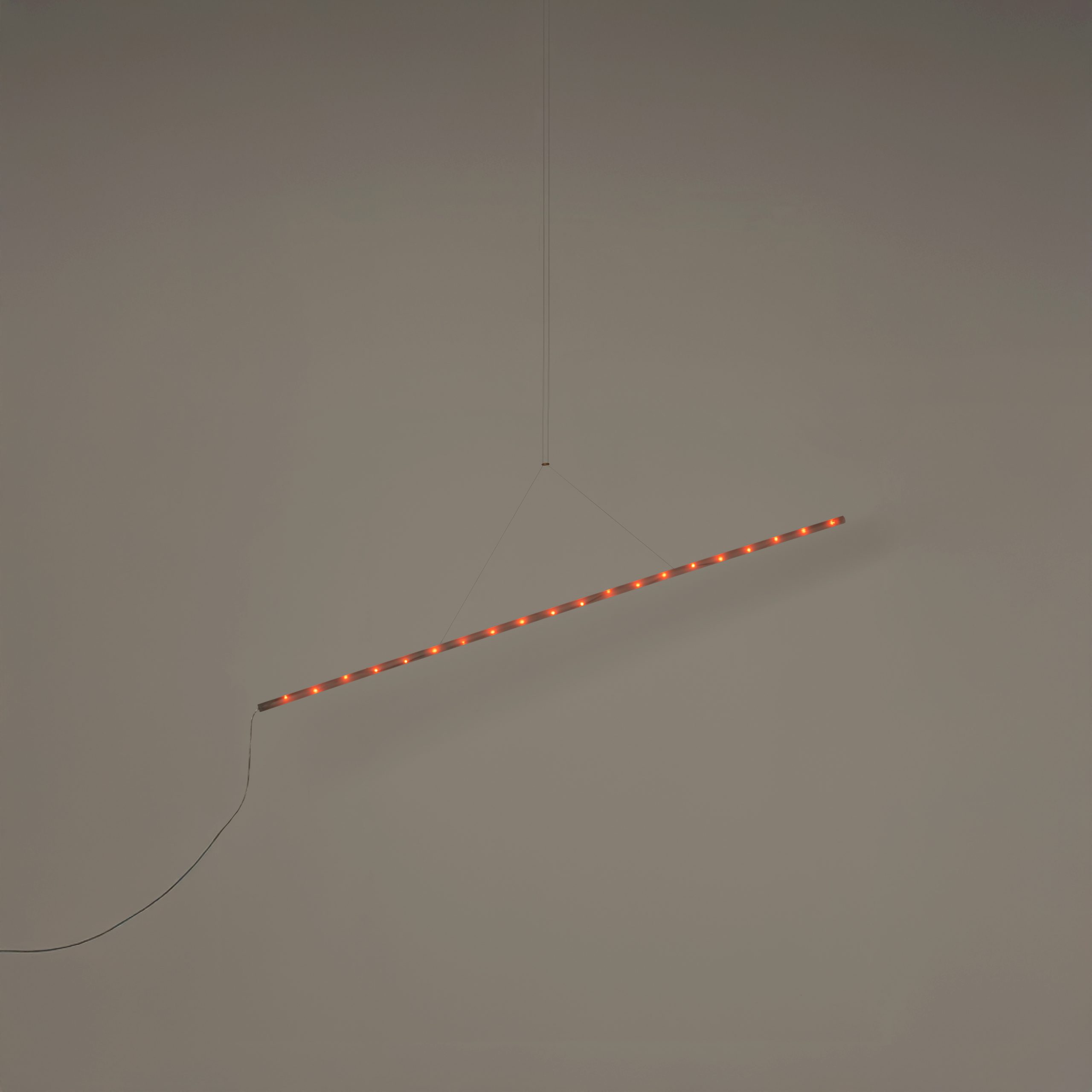 LaColilla-2m-Enric-Badrinas-2025-R25-3-scaled