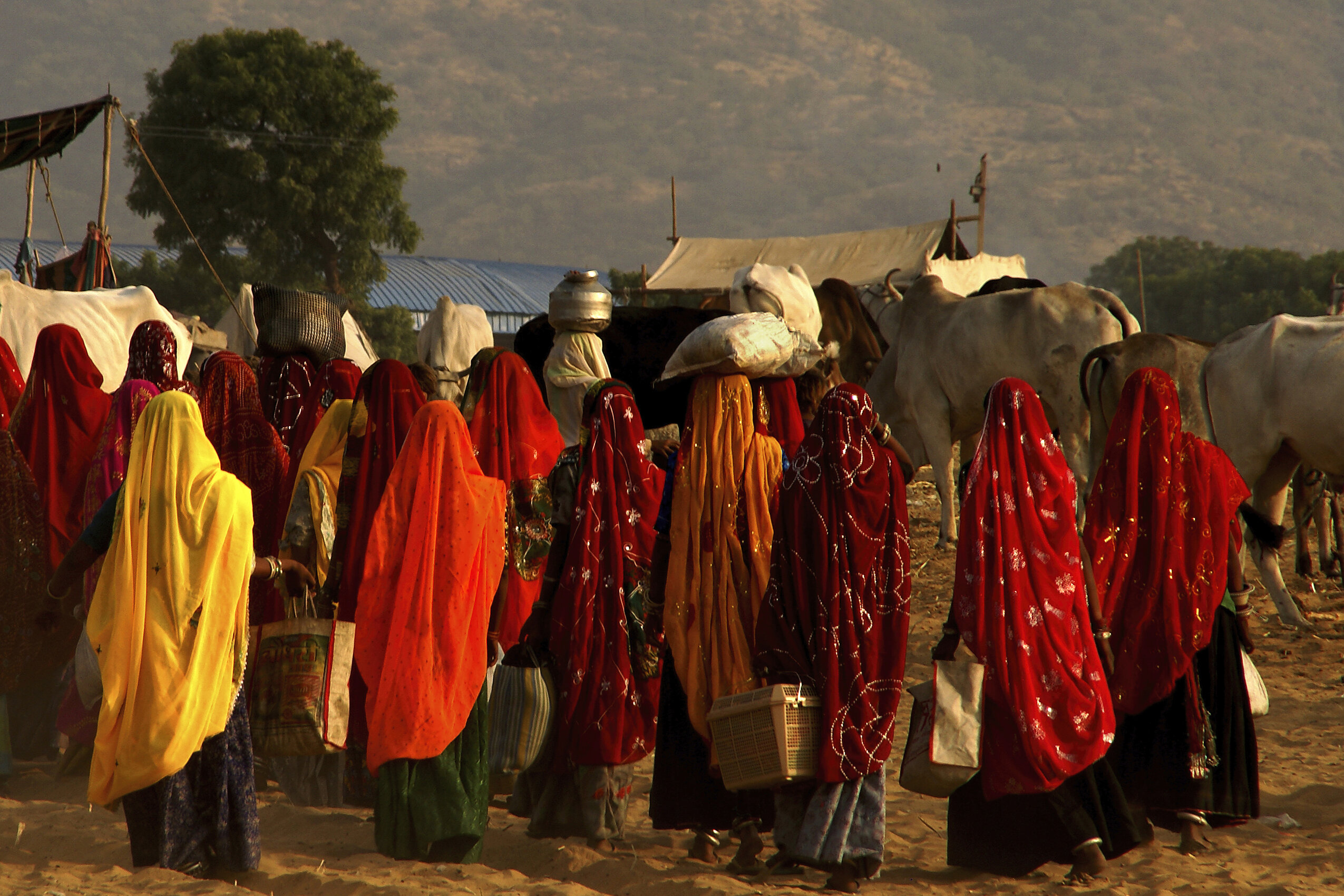 Feria de Pushkar