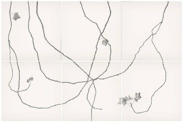 Artwork shown to scale