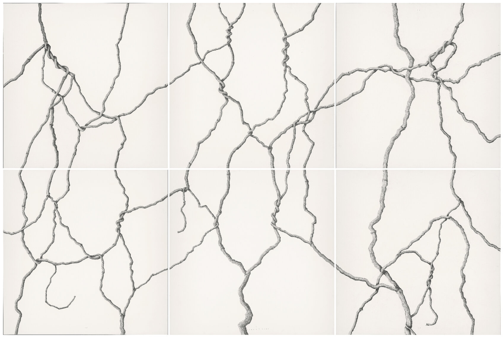 N-00256-Isamat-Marcos-240x160cm-Hiedra-completa-x2400.jpg