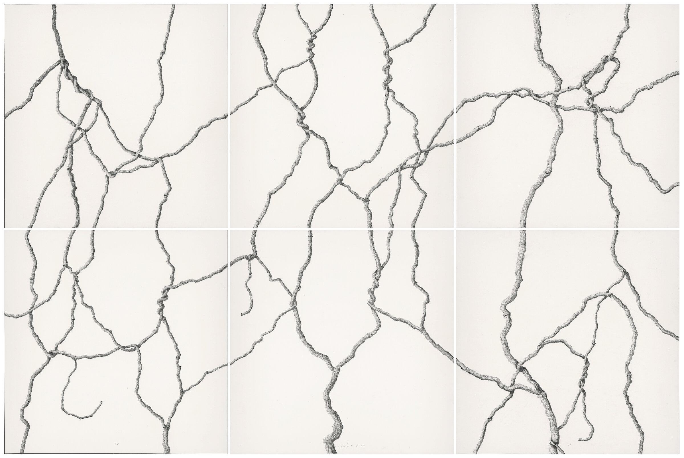 N-00256-Isamat-Marcos-240x160cm-Hiedra-completa-x2400.jpg