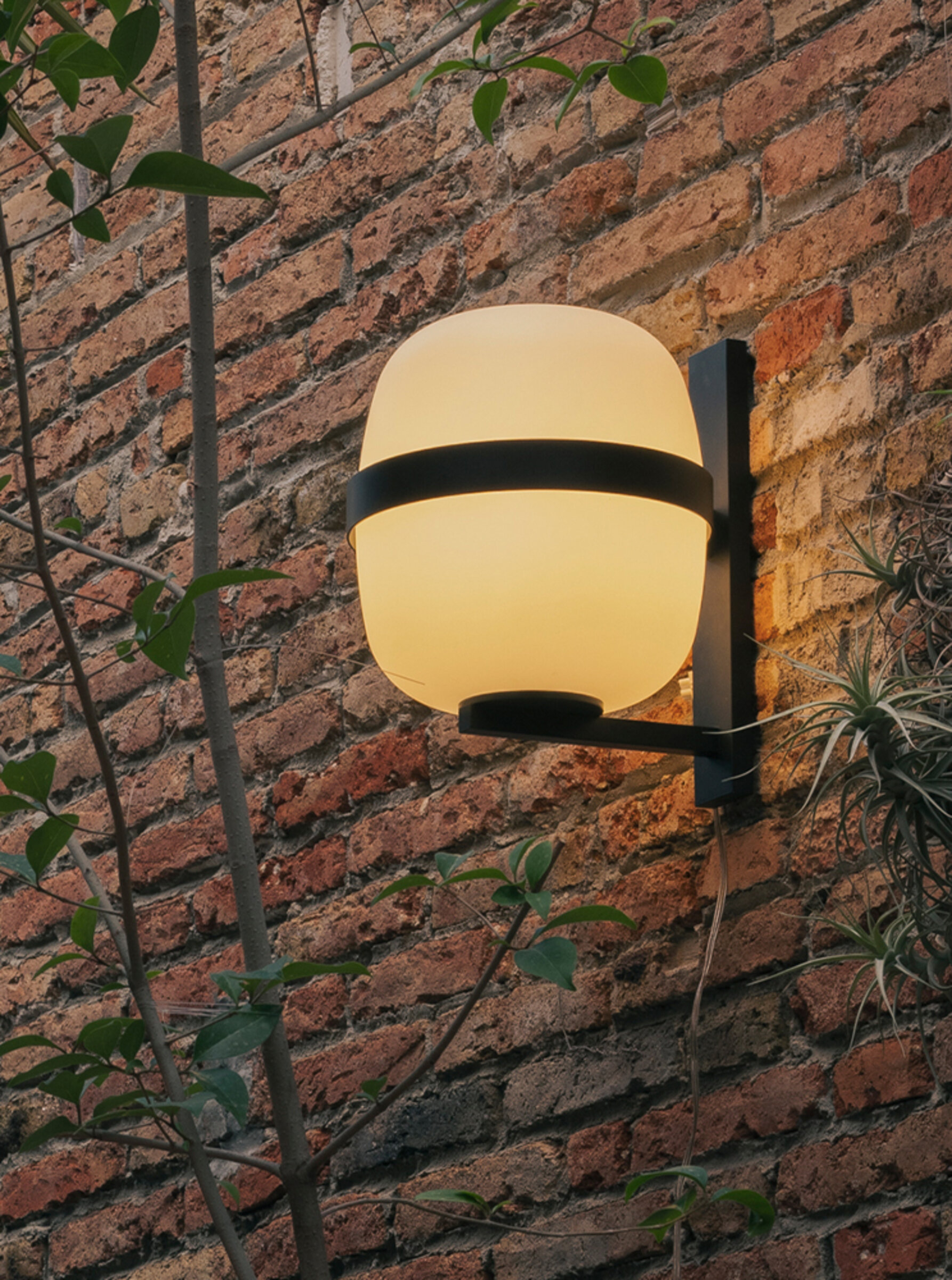 Wally-cesta-x2400.jpg