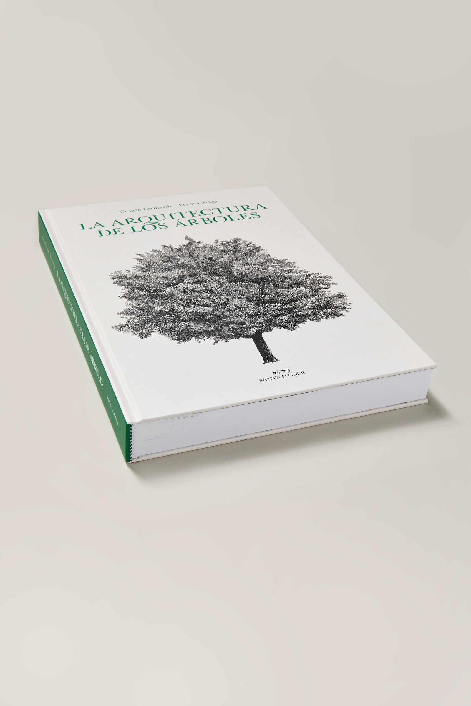 la-arquitectura-de-los-arboles-perspectiva-eduardo-sanchez-santacole-2022-B-Carrusel-x2400.jpg